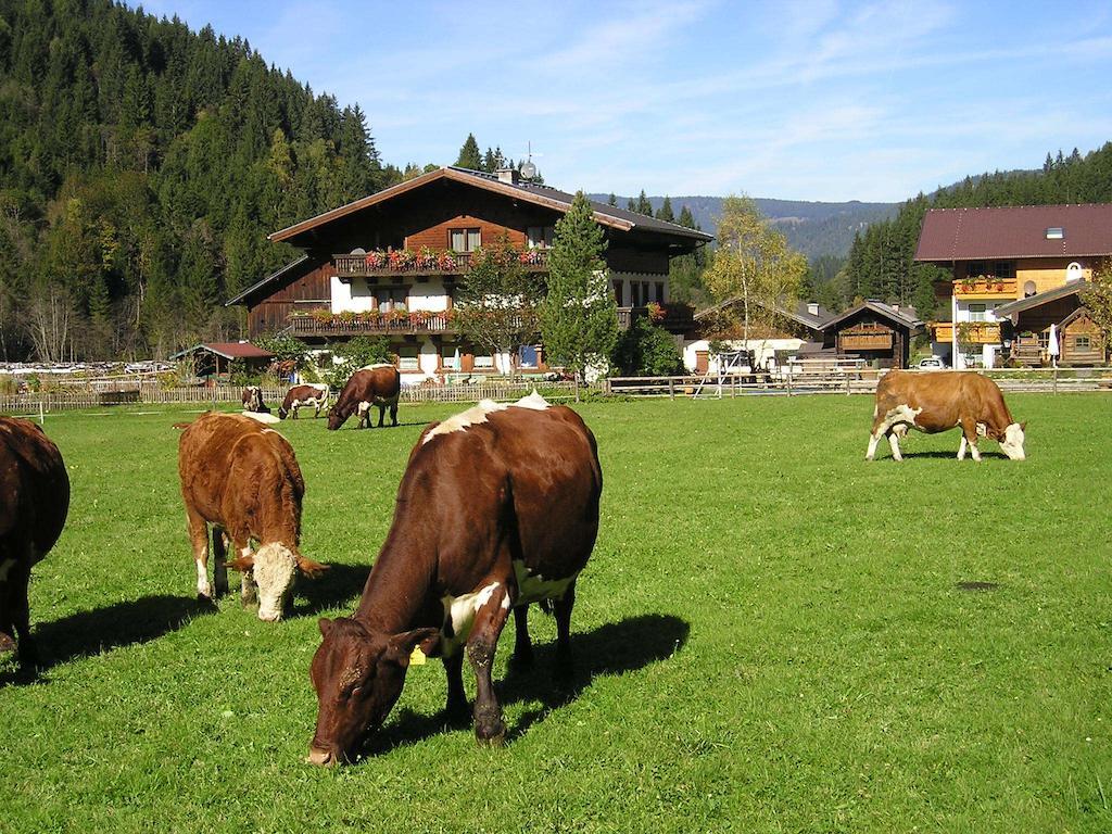 Winklhuette Villa Forstau Kültér fotó